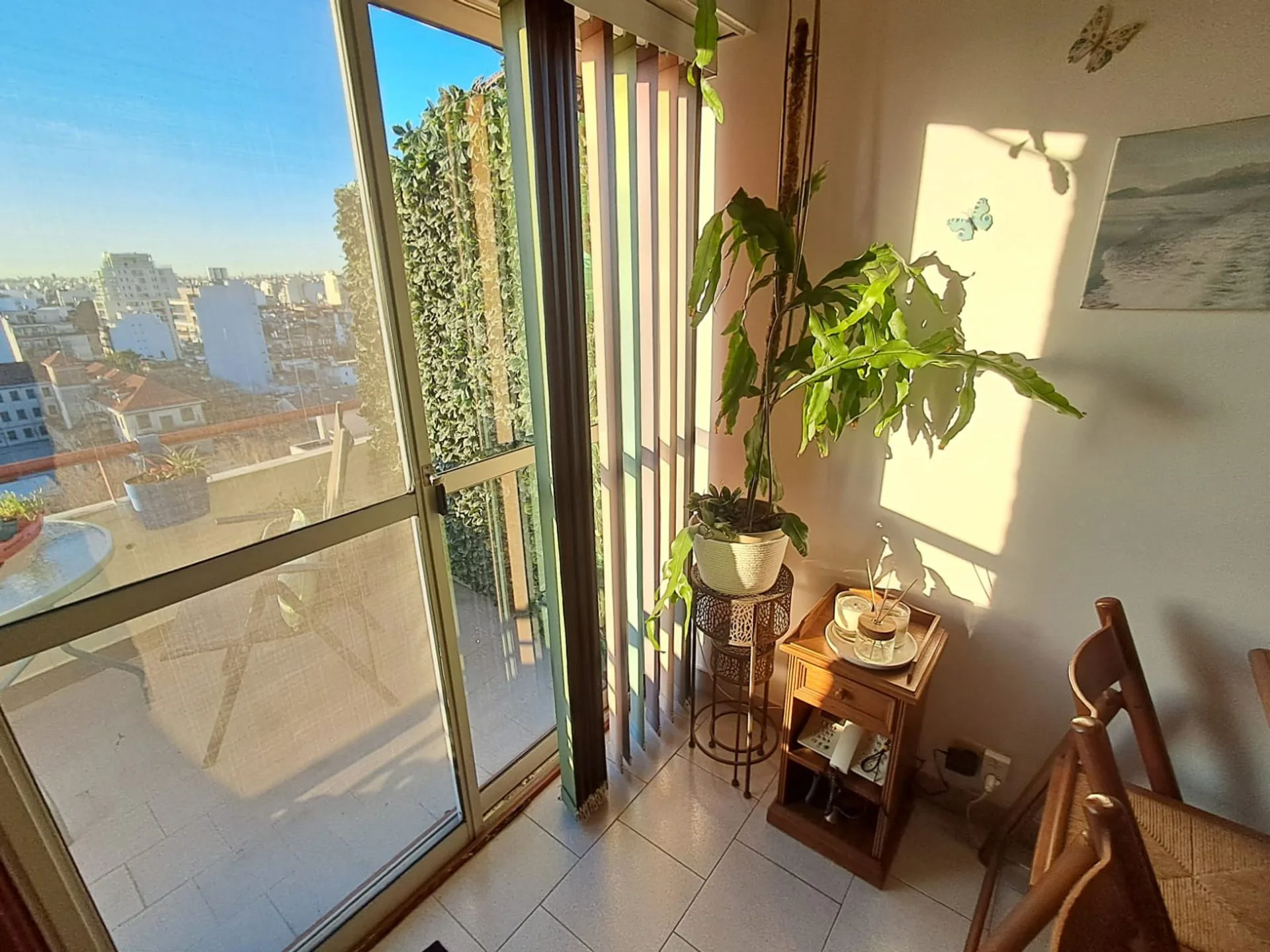 VENDE DEPARTAMENTO DOS AMBIENTES FLORESTA foto 5