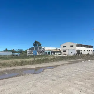 SE VENDEN LOTES EN EL JUNCAL – VIEDMA foto 2