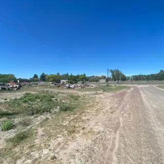 SE VENDEN LOTES EN EL JUNCAL – VIEDMA foto 3