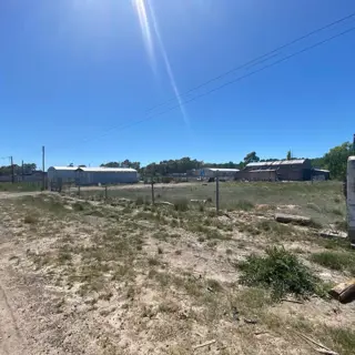 SE VENDEN LOTES EN EL JUNCAL – VIEDMA foto 4
