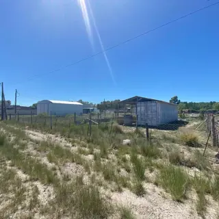 SE VENDEN LOTES EN EL JUNCAL – VIEDMA foto 5