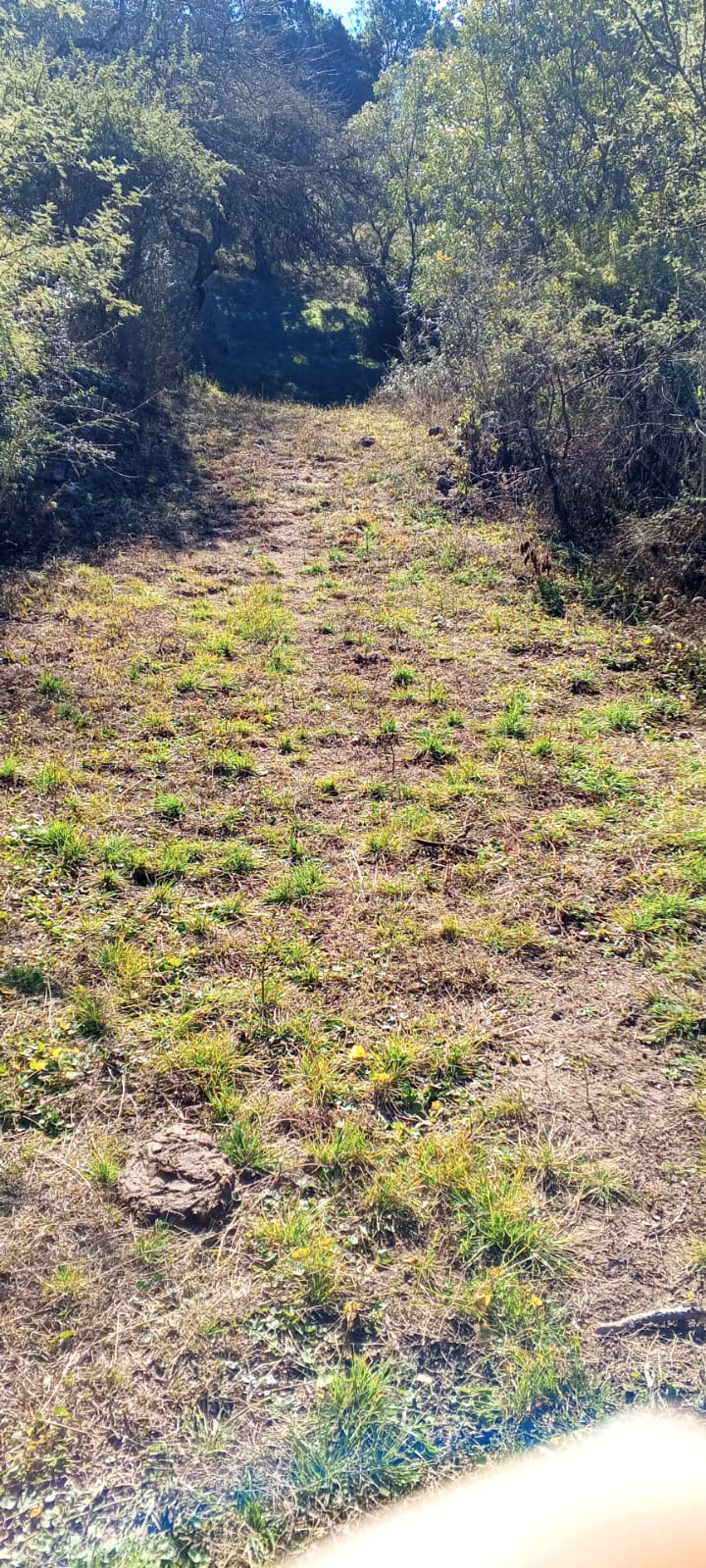 VENTA LOTE CAMINO PAN DE AZUCAR foto 4