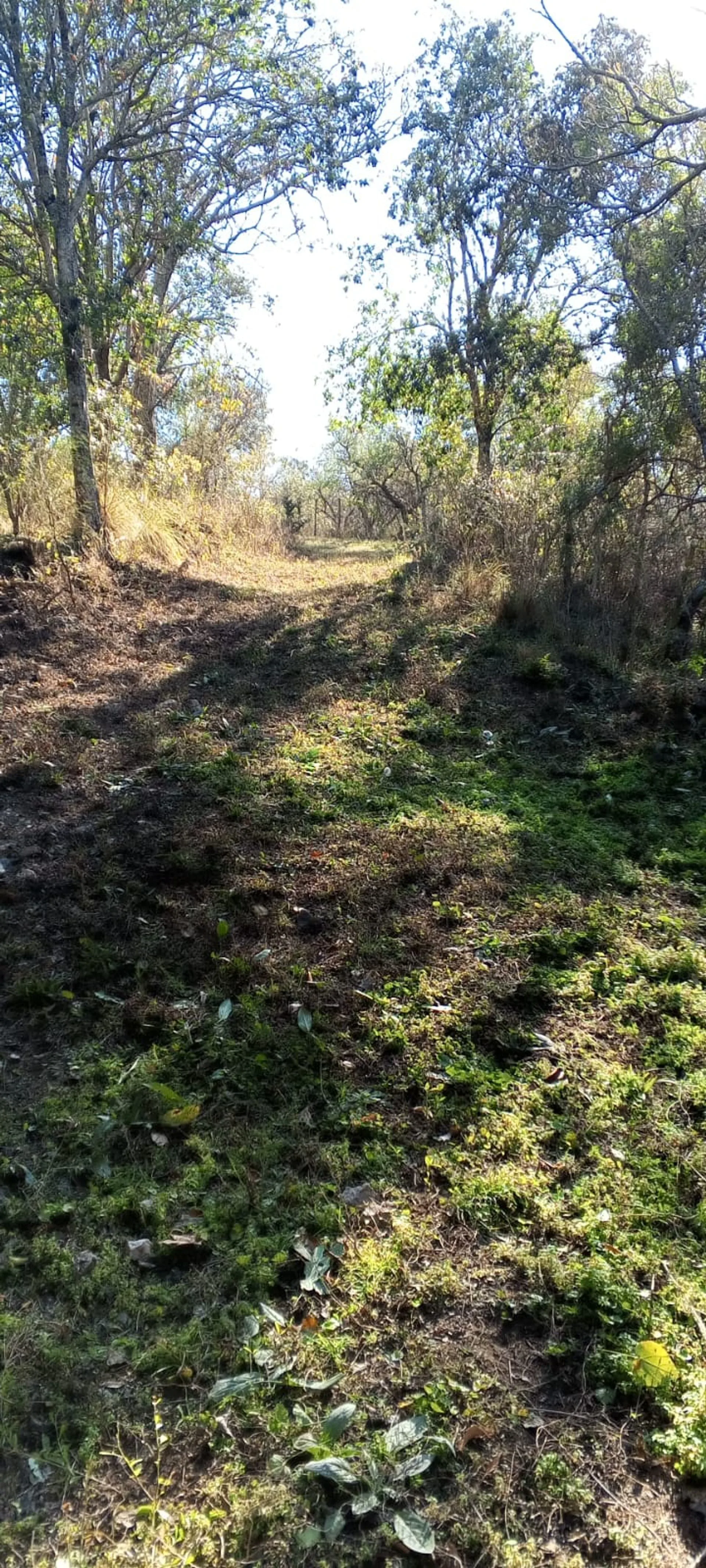 VENTA LOTE CAMINO PAN DE AZUCAR foto 5