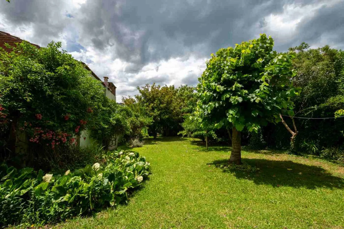 VENTA LOTE 378M2 EN PARQUE LURO foto 2
