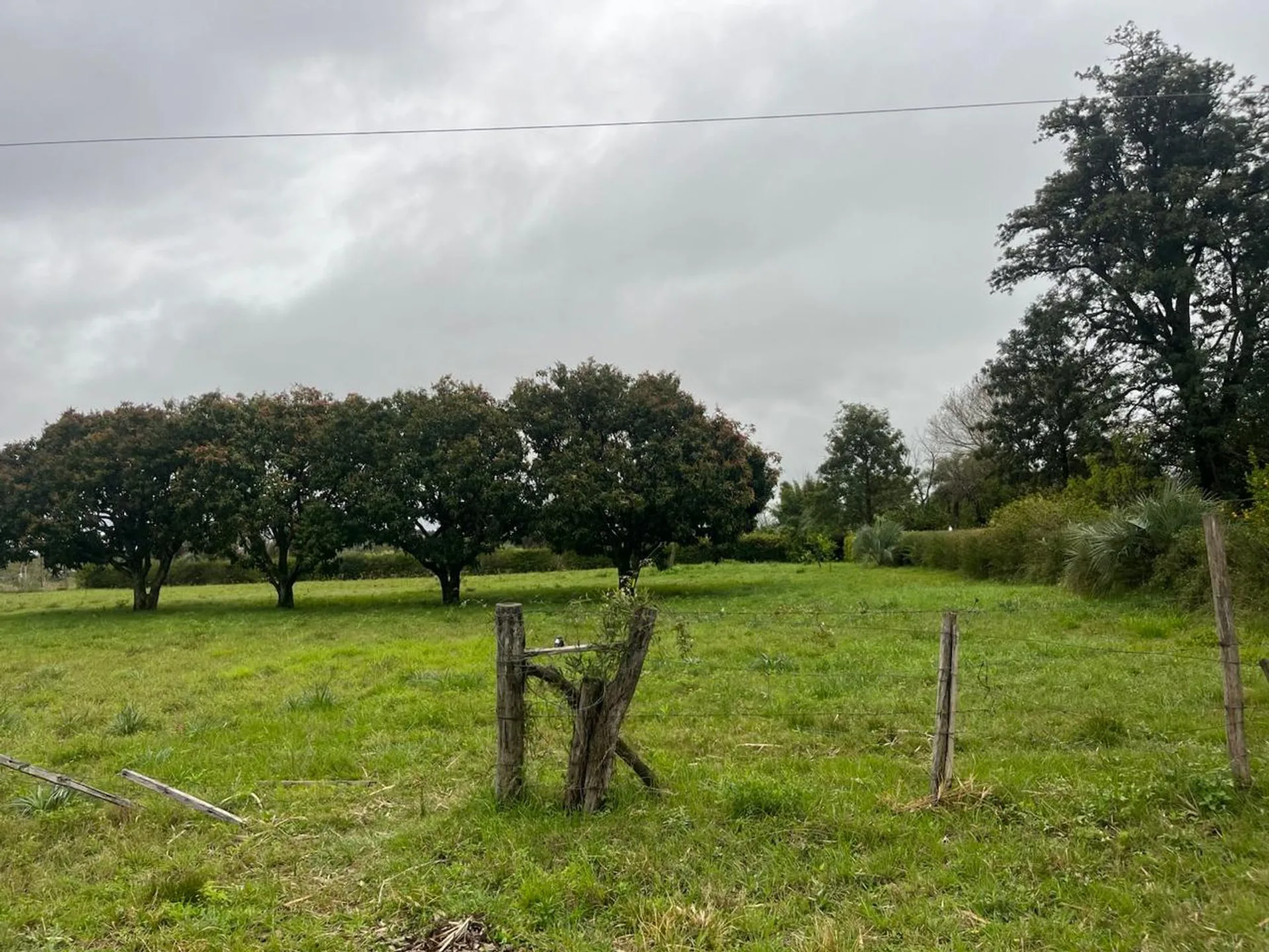 TERRENO DE 2500 M2 EN VENTA foto 3