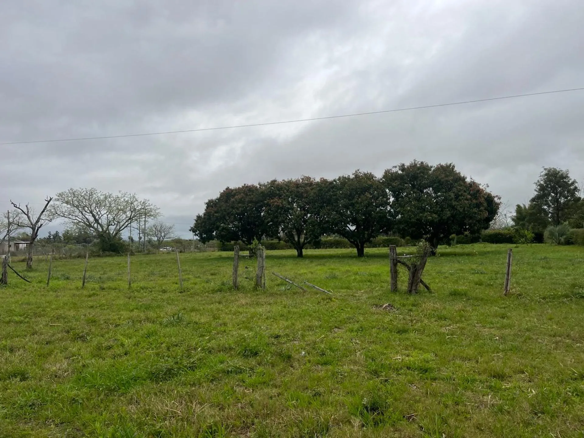TERRENO DE 2500 M2 EN VENTA foto 5