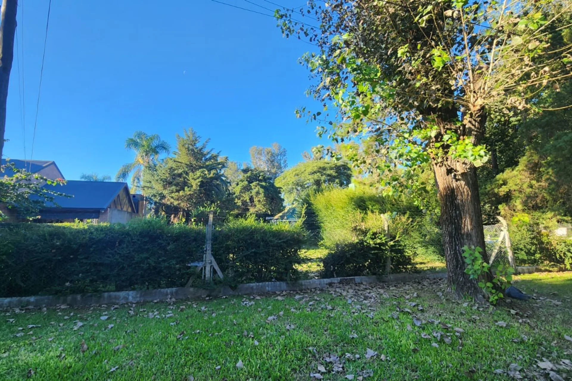 Terreno en Altos del Sauce con pileta foto 2