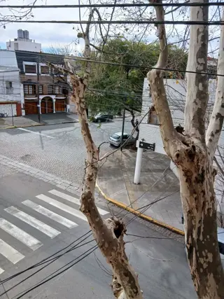 DUPLEX DE 3 AMBIENTES EN PRIMER PISO EN LA MEJOR ZONA RESIDENCIAL DE FLORESTA foto 5