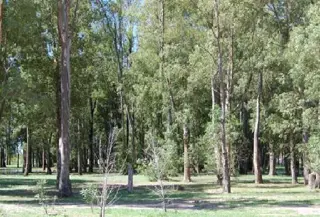 Excelente lote de 1000m2 en Barrio Cerrado Don Joaquin - Canning foto 1