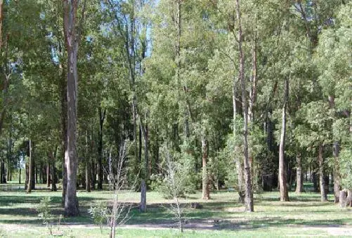Excelente lote de 1000m2 en Barrio Cerrado Don Joaquin - Canning