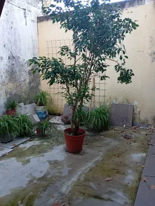 se vende ph 3 amb con 2 patios y entrada independiente foto 4