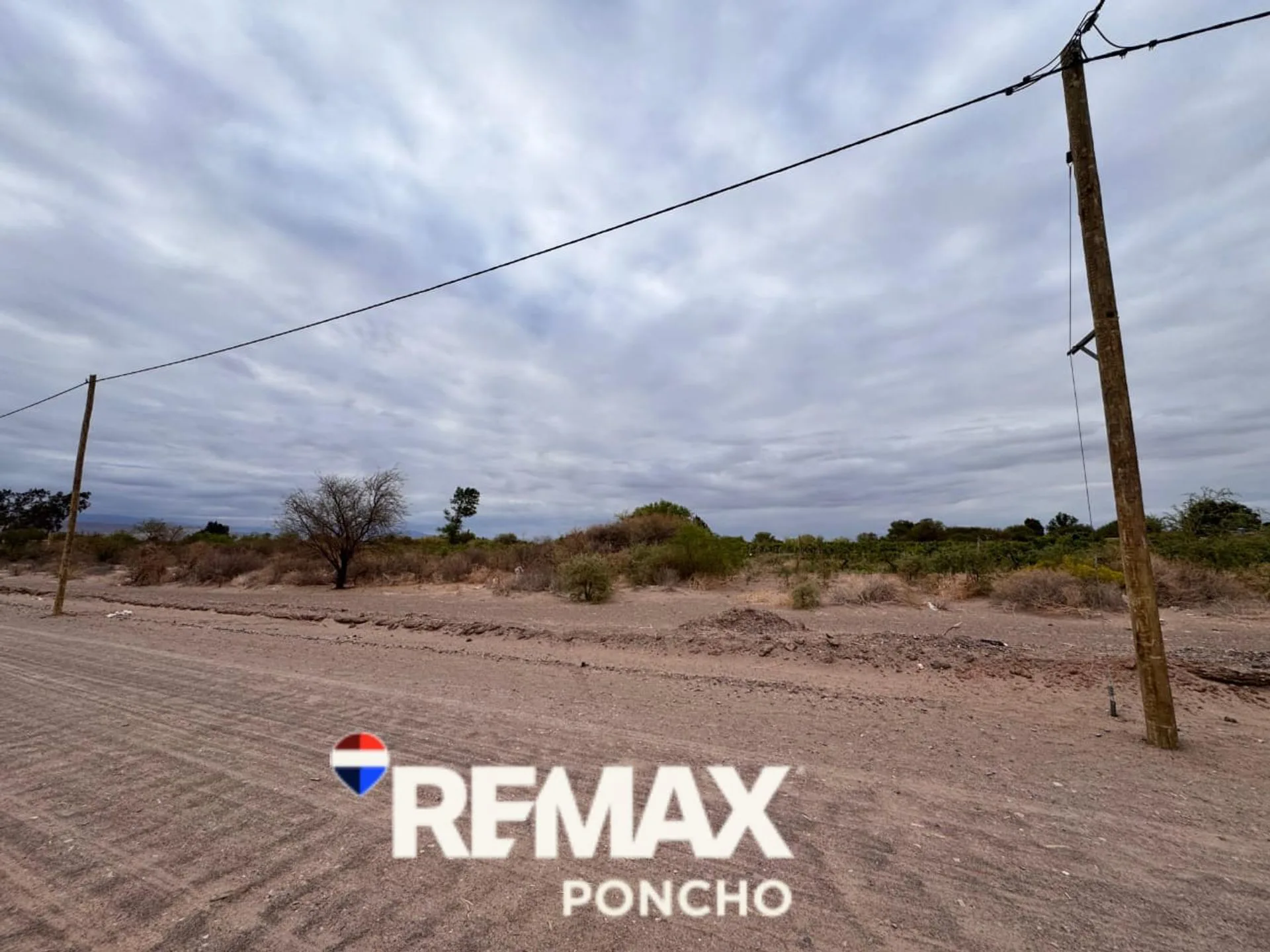 SE VENDE TERRENO c/VIÑEDOS EN FIAMBALA-TINOGASTA foto 4