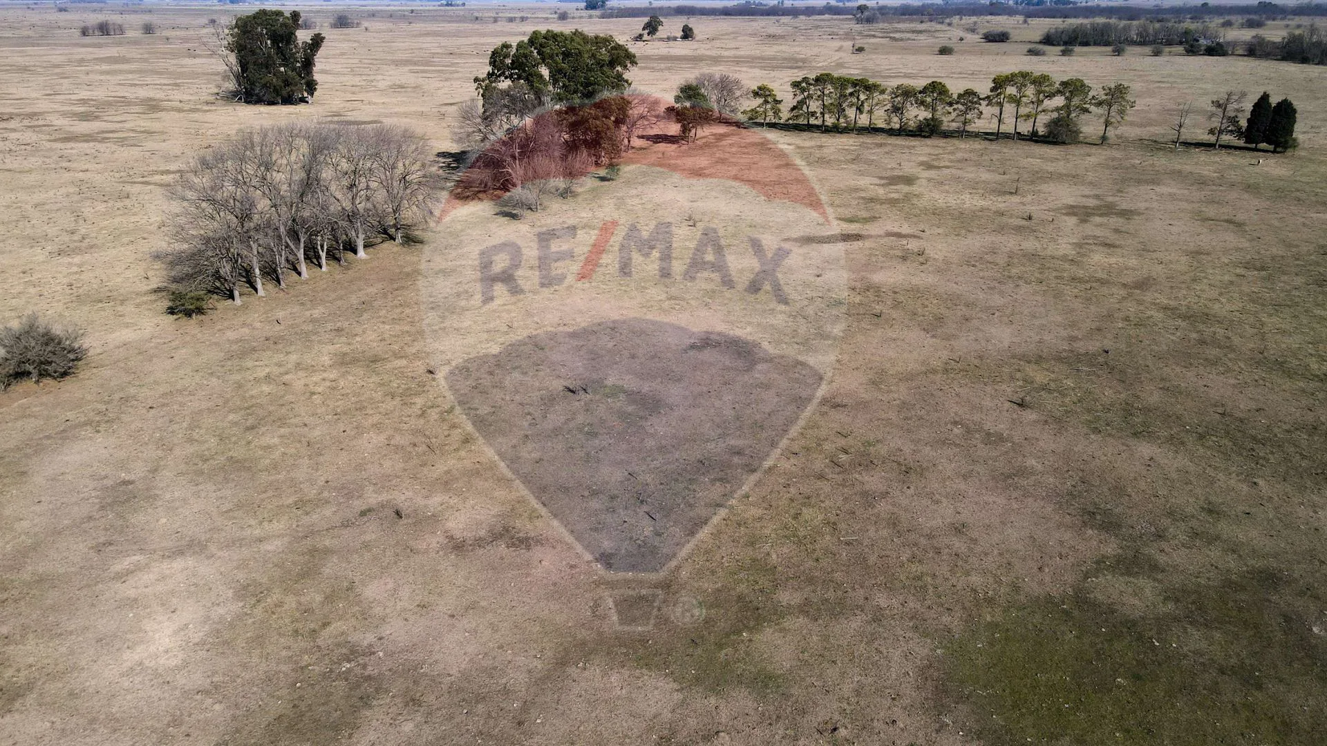 CAMPO EN VENTA EN SAN VICENTE IDEAL DESARROLLO foto 3