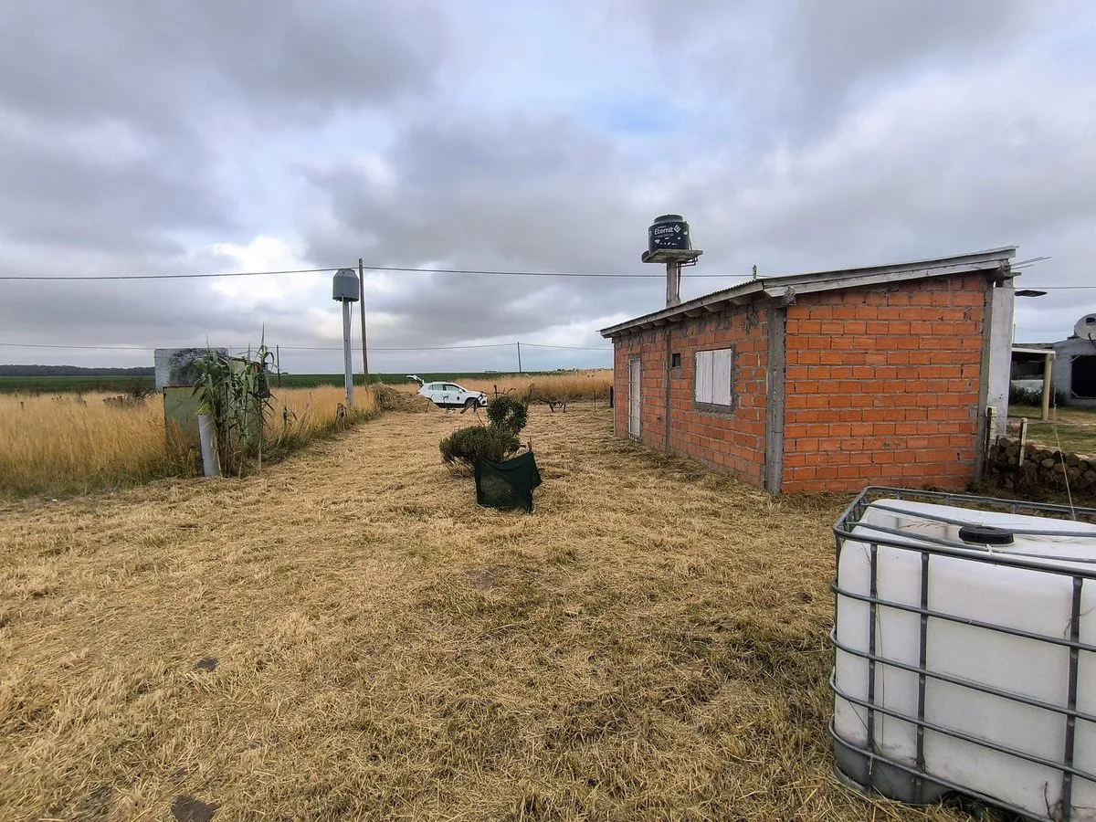 Venta casa en lote de 398mts2 Los Ángeles Necochea foto 2