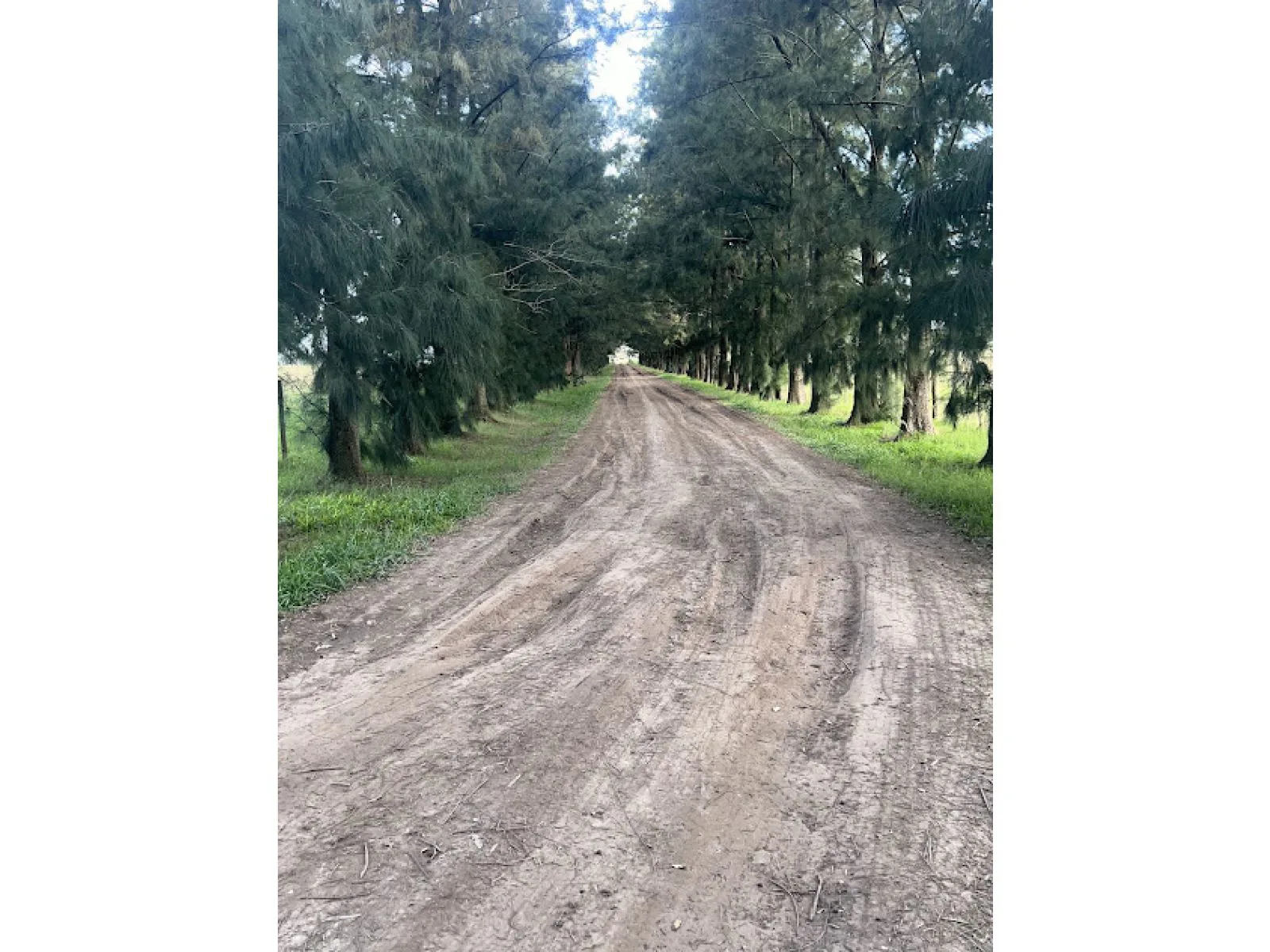 Chacra de 7 ha en San Miguel del Monte - La Escondida foto 2
