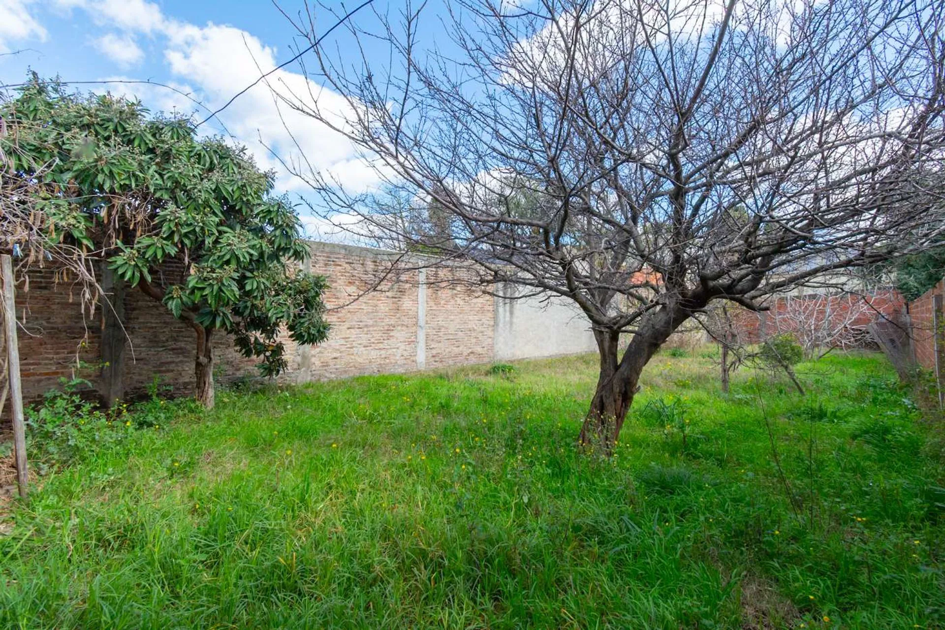 VENTA LOTE CASA ZONA SEMI INDUSTRIAL MORON 600MTS foto 5