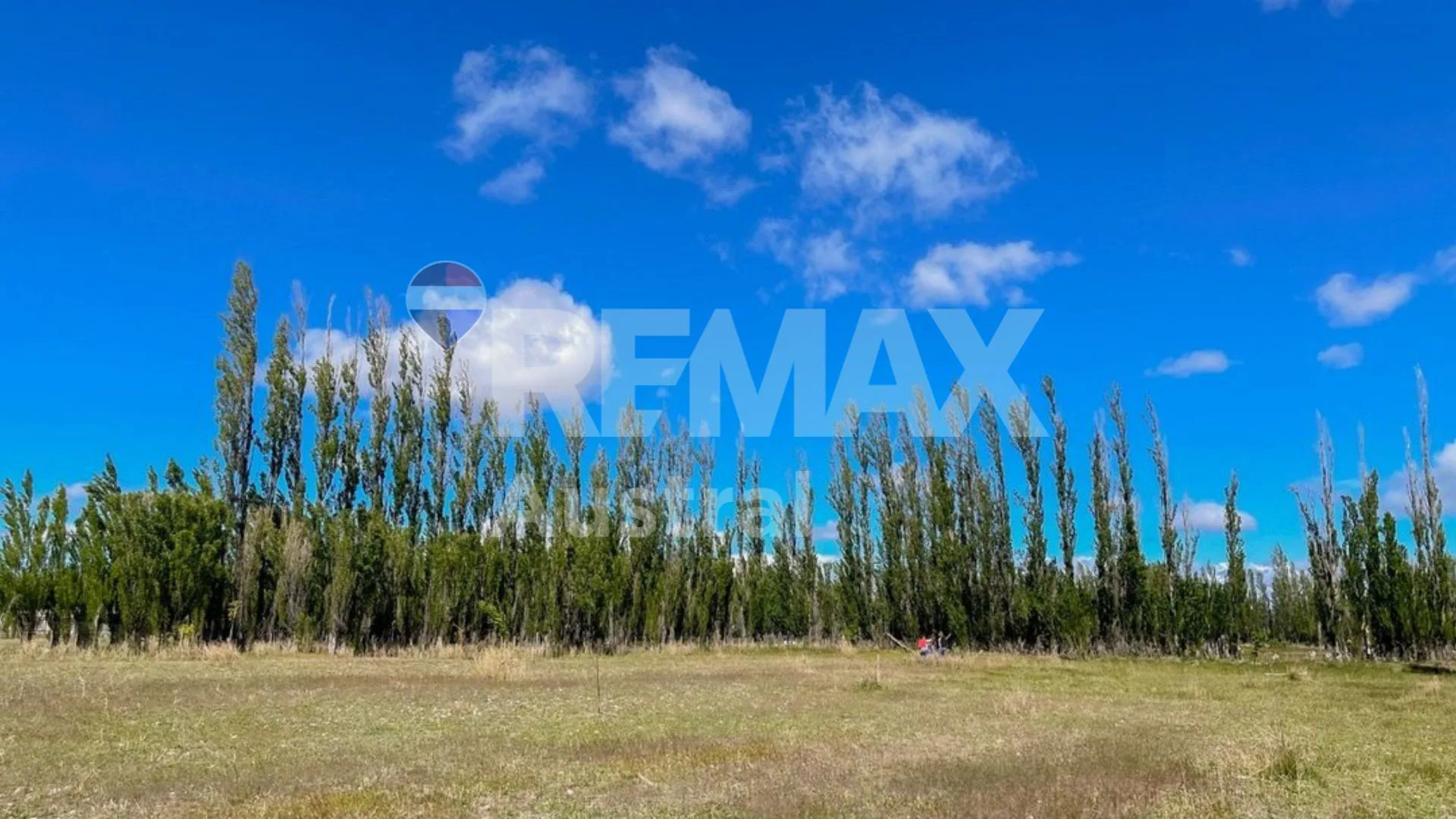 VENTA CHACRA DE CASI 3 HECTAREAS EN SARMIENTO foto 4