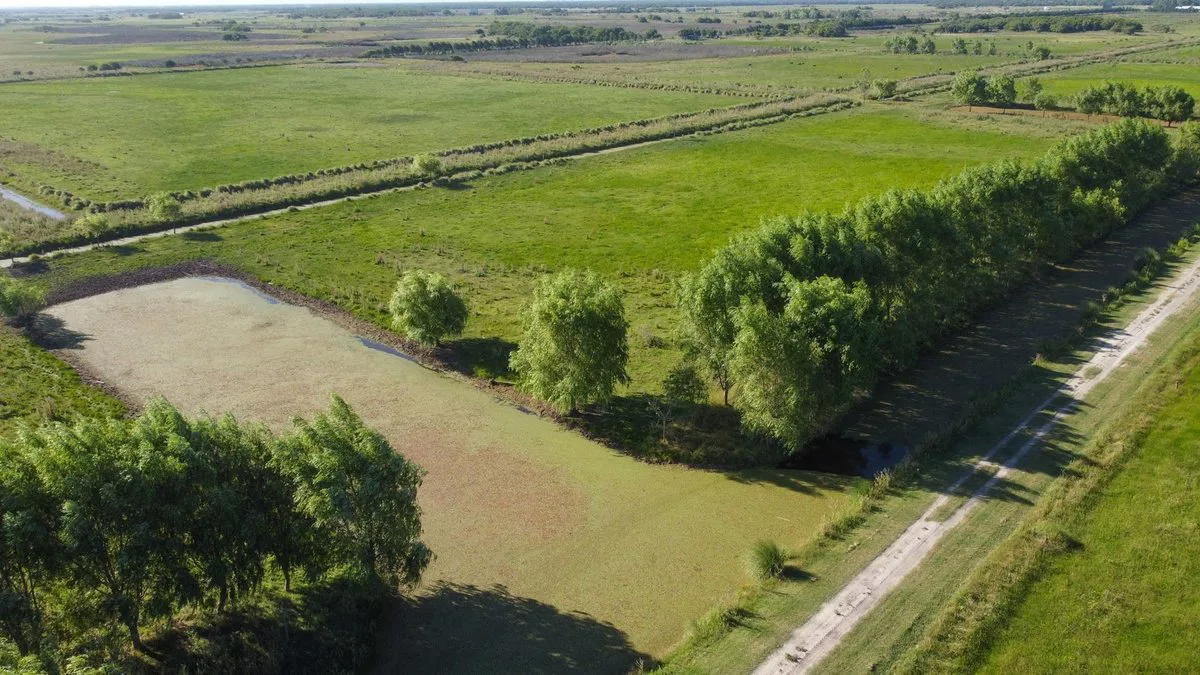 VENTA LOTE COMERCIAL LA MANSA GENERAL MADARIAGA foto 3