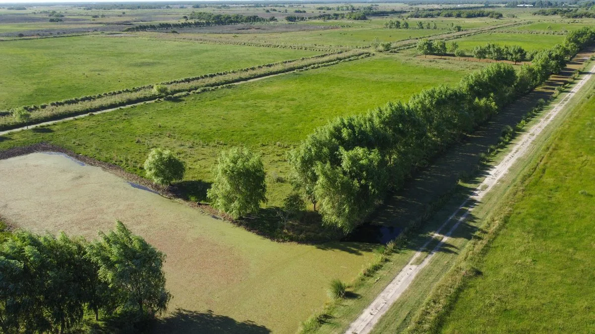 VENTA LOTE COMERCIAL LA MANSA GENERAL MADARIAGA foto 4