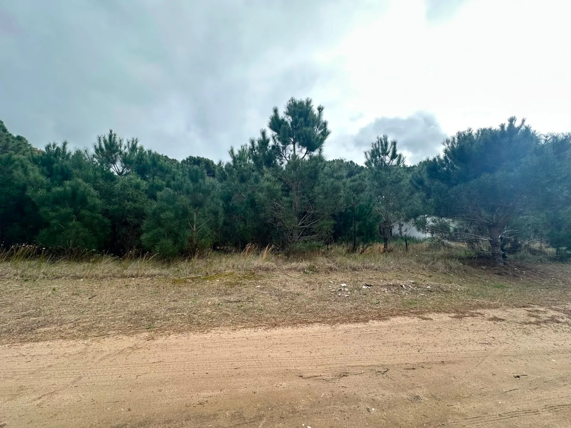 LOTE VENTA NUEVA TLANTIS 500 MENTROS CUADRADOS