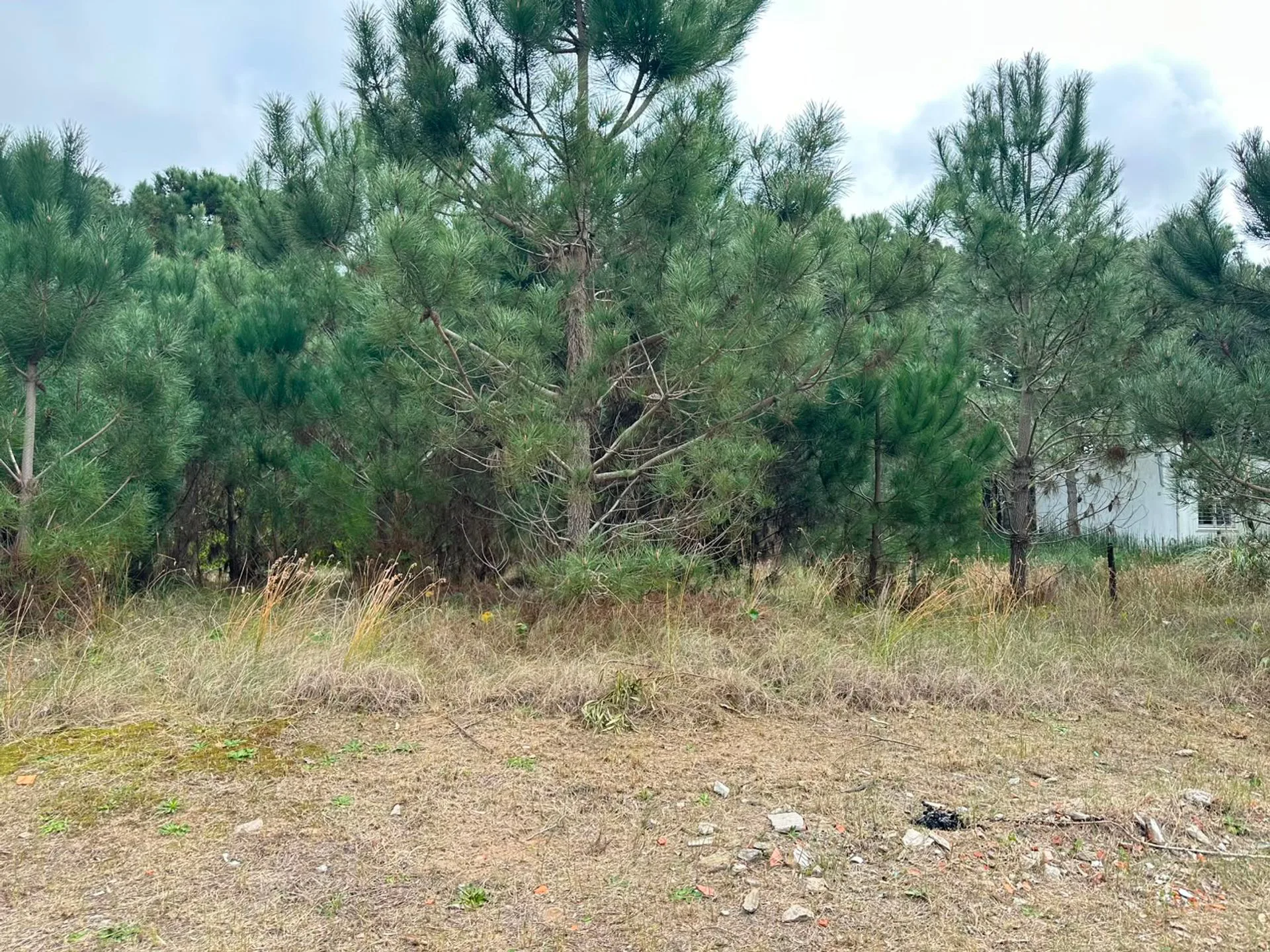 LOTE VENTA NUEVA TLANTIS 500 MENTROS CUADRADOS foto 3