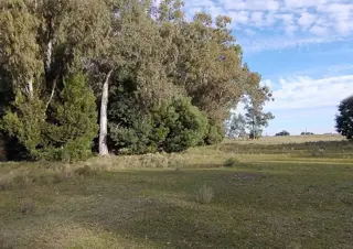 CAMPO en Venta en Punta Indio foto 3