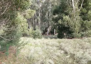 CAMPO en Venta en Punta Indio foto 4