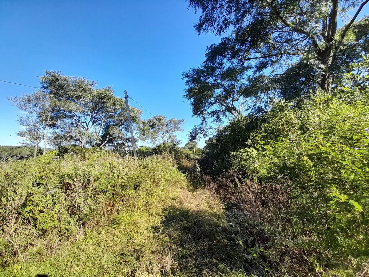 VENTA TERRENO 5400 m2 -  LOMA HERMOSA foto 2