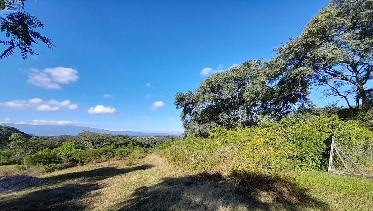VENTA TERRENO 5400 m2 -  LOMA HERMOSA foto 4
