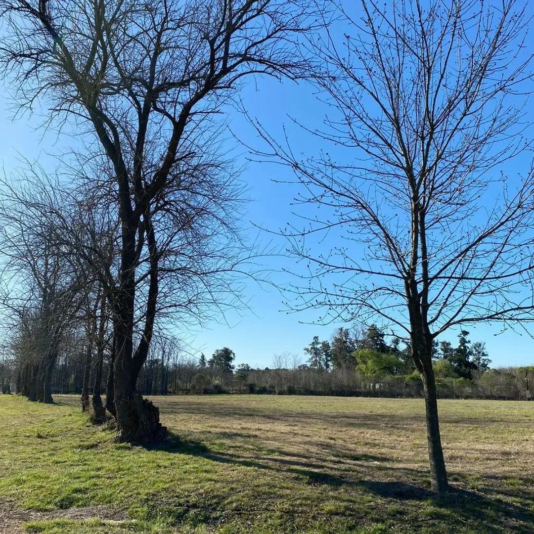 Lotes En La Asunción Club De Campo, Luján En Venta foto 4