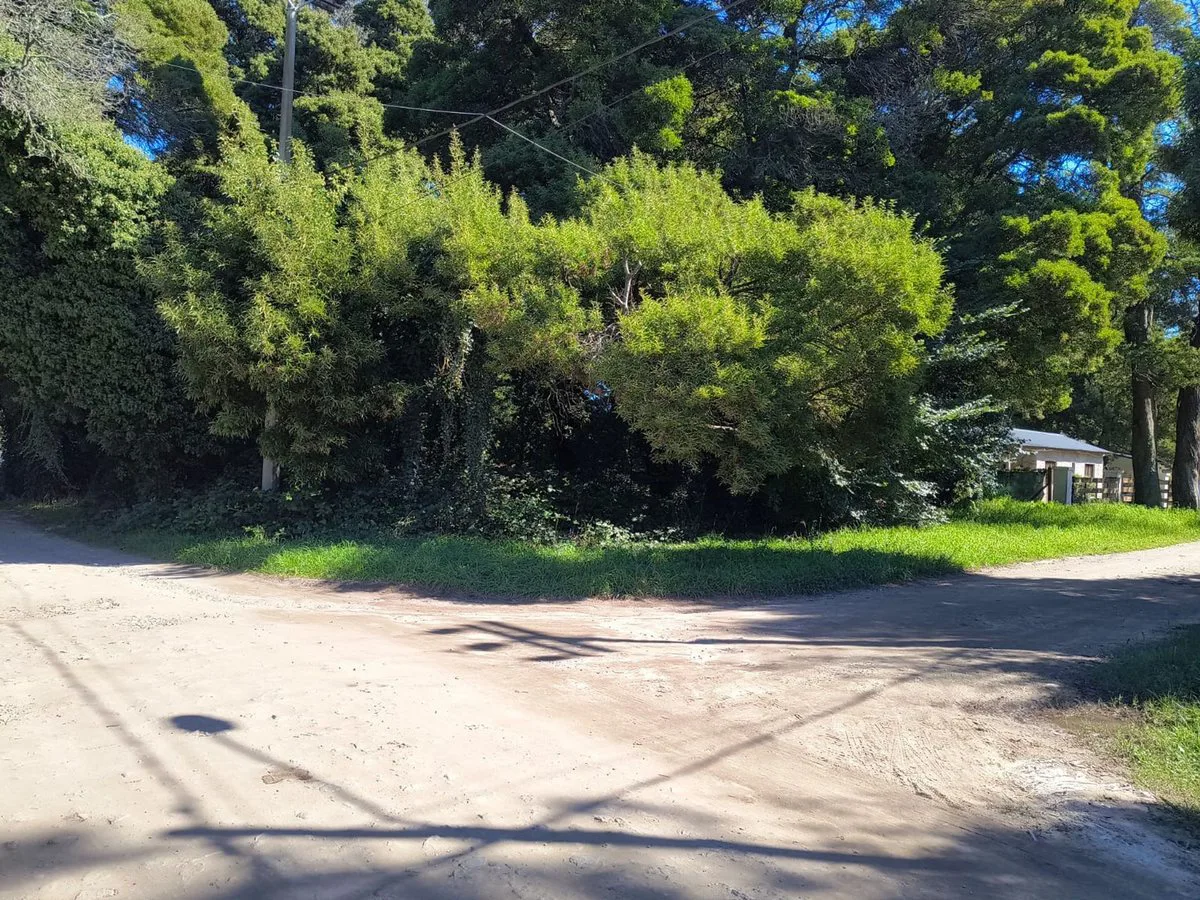 VENTA LOTE 737 MTR2 - SANTA CELINA / MAR DEL PLATA foto 3
