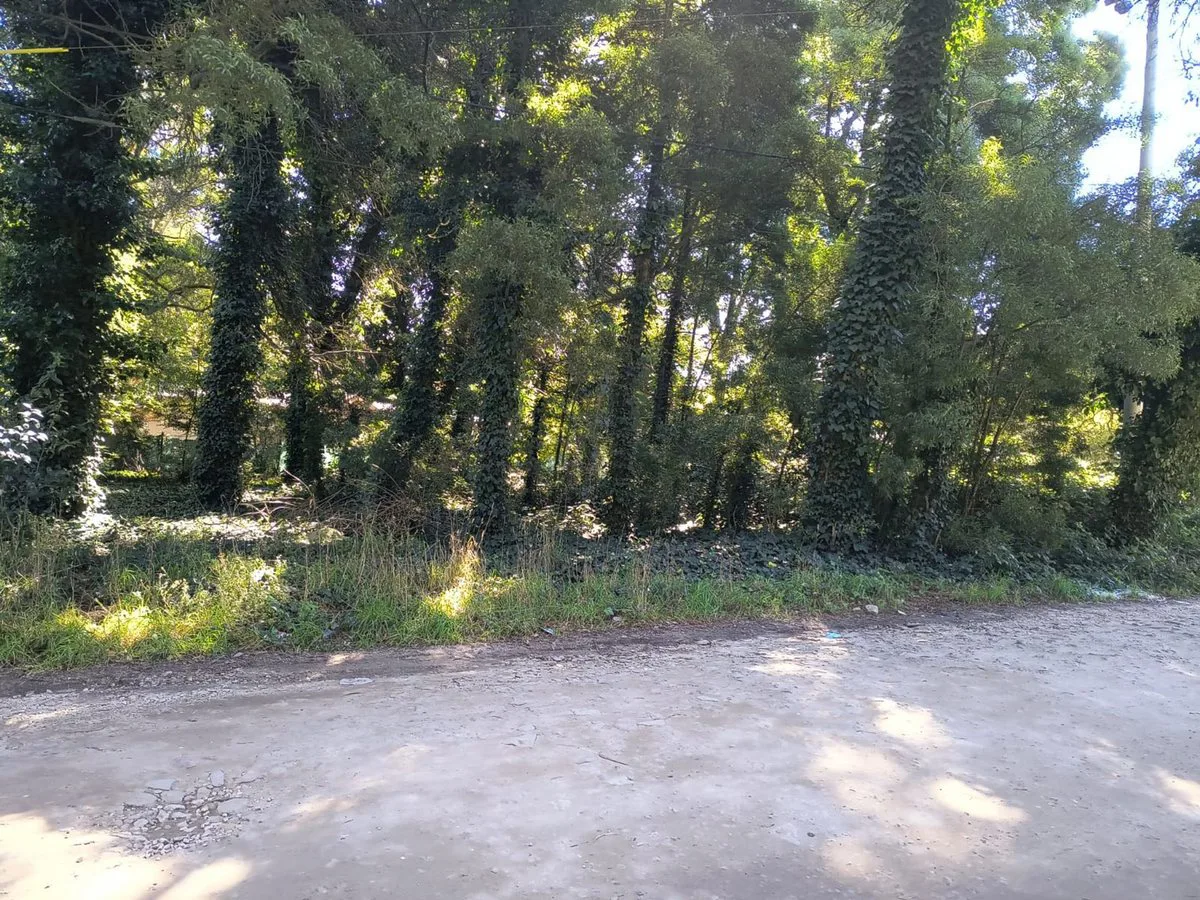 VENTA LOTE 737 MTR2 - SANTA CELINA / MAR DEL PLATA foto 5