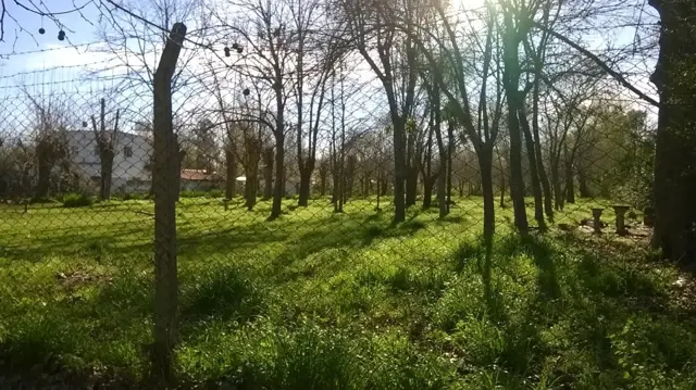 Lote en Venta - Dique Lujan - Villa la Ñata - Sobre Canal Villanueva