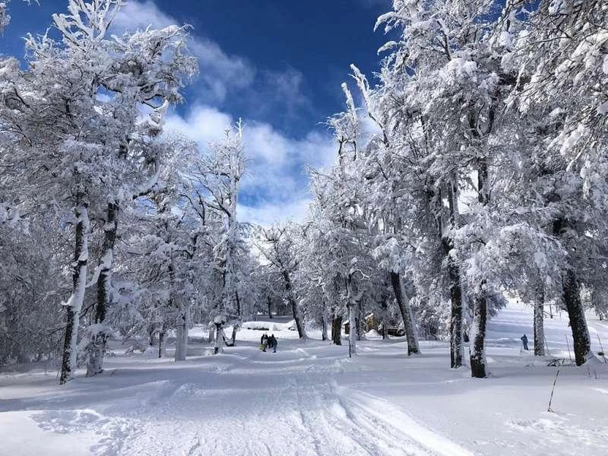 Ruta 19, acceso cerro Chapelco PB A M8 foto 3