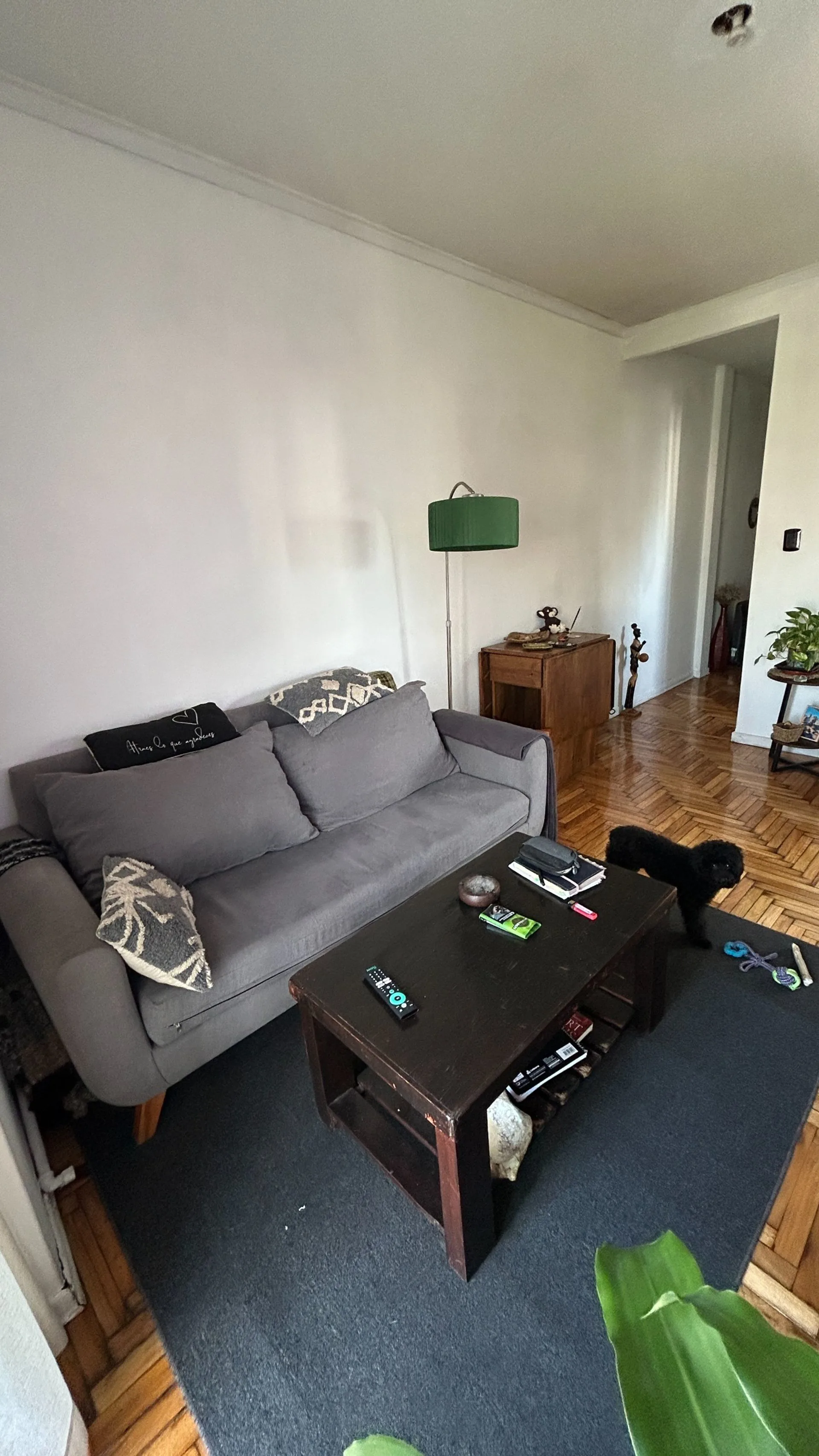 VENTA DEPARTAMENTO 2 AMB CON BALCON, BOEDO foto 2