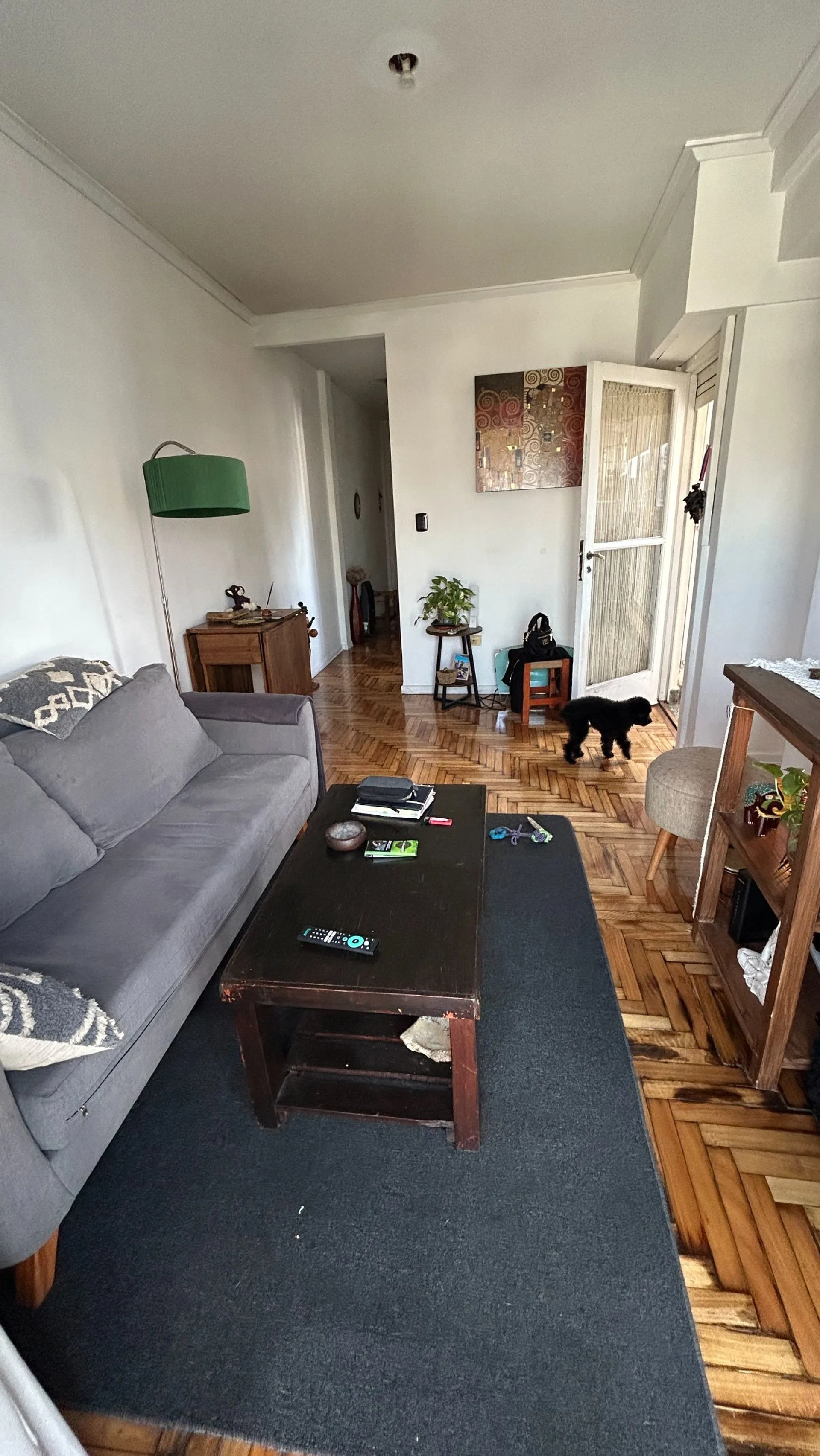 VENTA DEPARTAMENTO 2 AMB CON BALCON, BOEDO foto 4