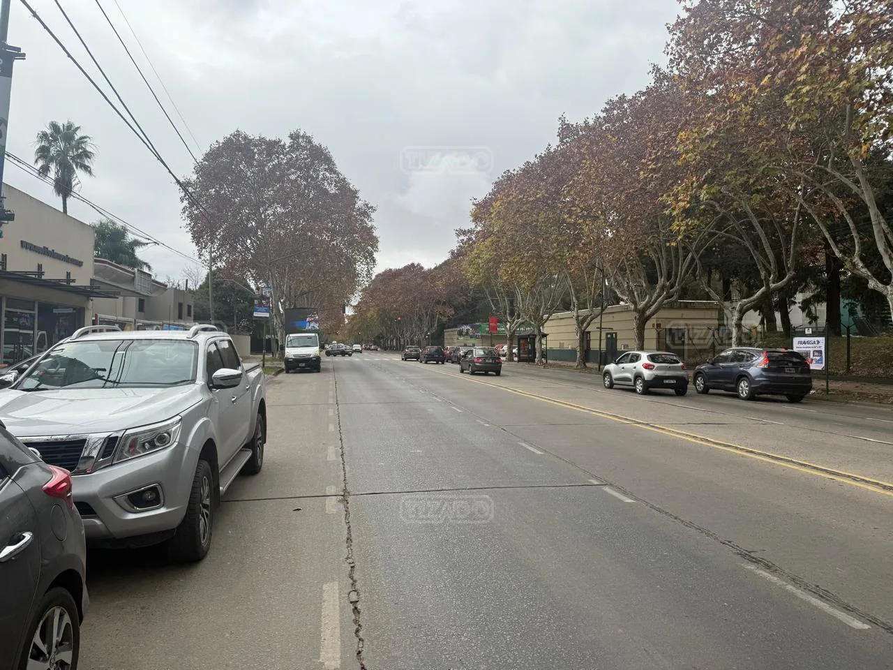 AVENIDA BERNABE MARQUEZ 800 foto 5