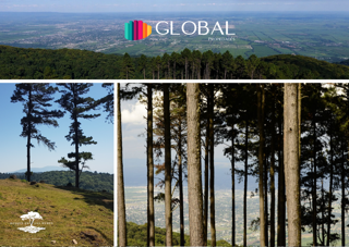 Emplazado en un lugar único, Bosque en las nubes, es un emprendimiento que armoniza la calidad de vida, la naturaleza y el confort. foto 2