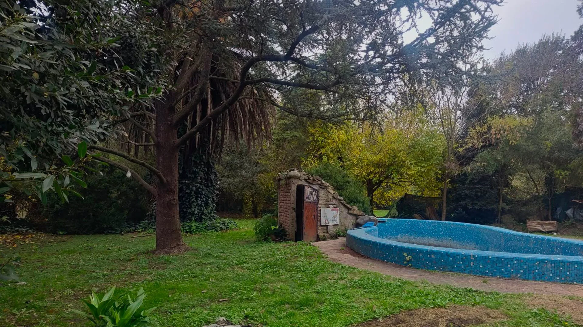VENTA CASA QUINTA TRES AMBIENTES VIRREY DEL PINO foto 2