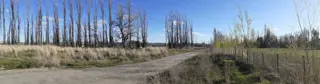 TERRENOS  2.100 m2. Portal del sol, TRELEW foto 3