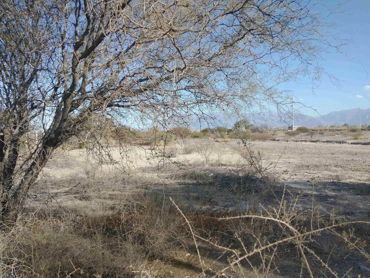 Terreno de 44.382 m2 aprox. en Rivadavia foto 3