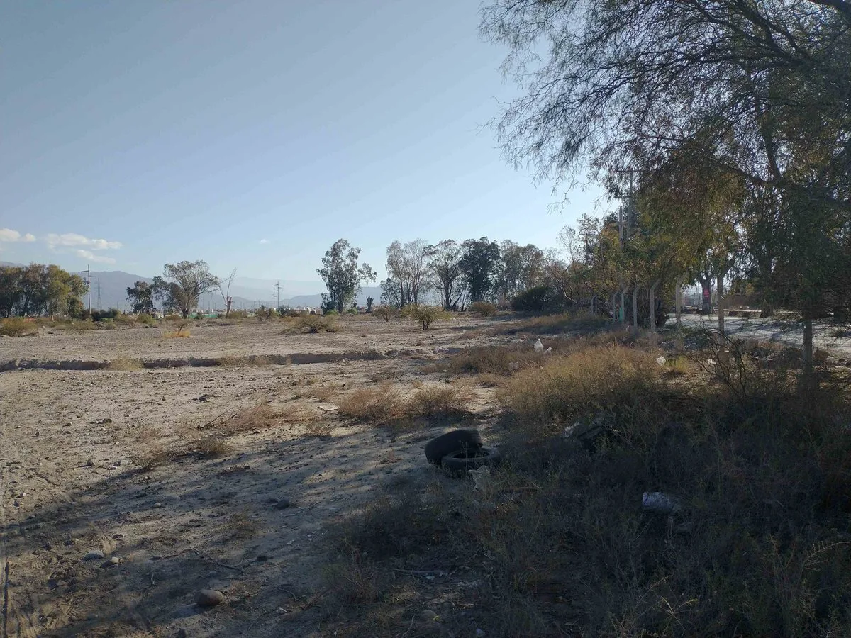 Terreno de 44.382 m2 aprox. en Rivadavia foto 4