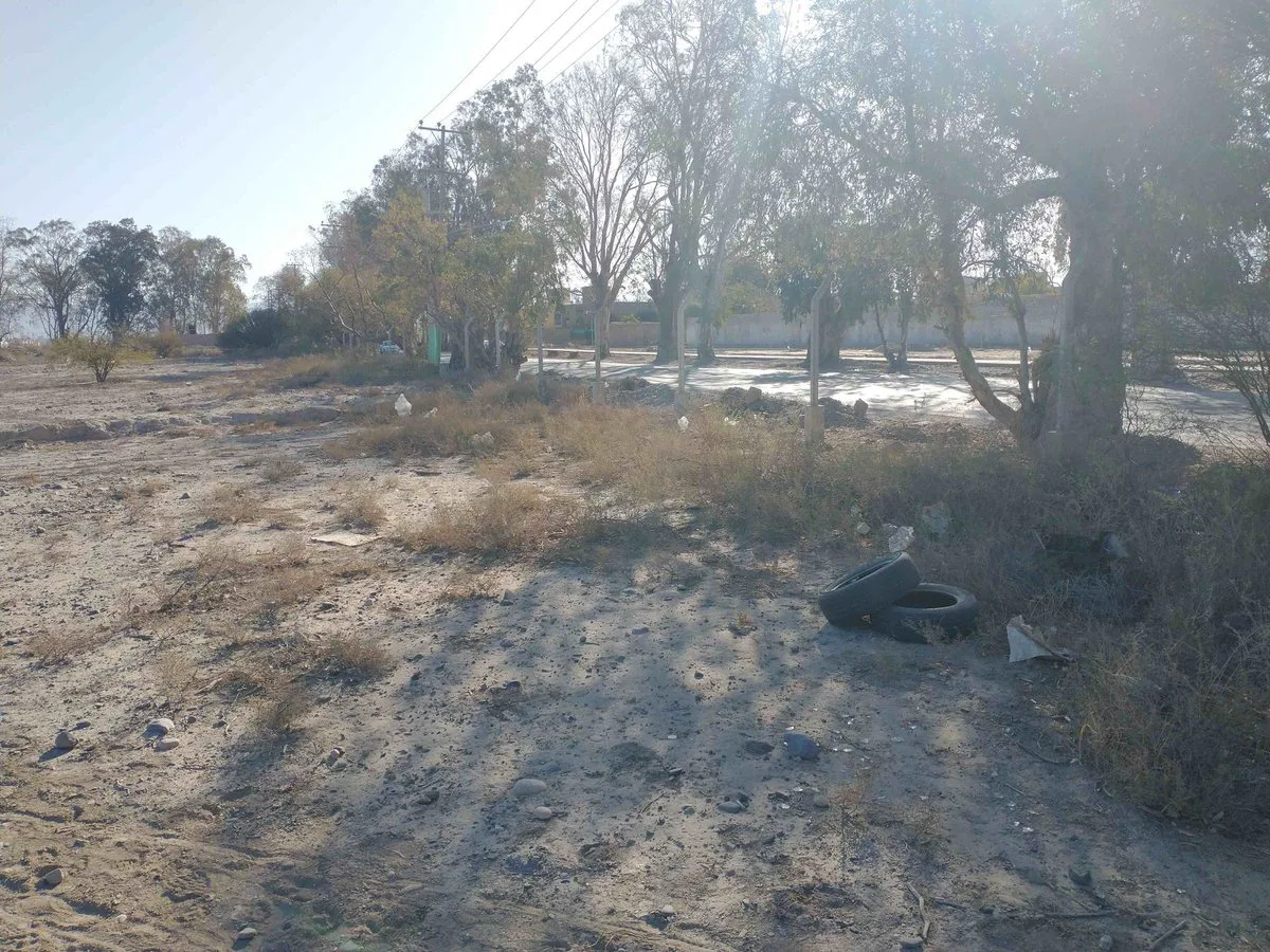 Terreno de 44.382 m2 aprox. en Rivadavia foto 5