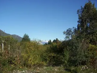 Excelente Lote Céntrico en Lago Puelo. foto 2