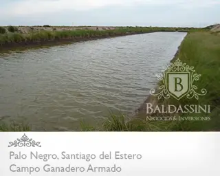 CAMPO GANADERO DE 2500 HAS EN PALO SANTO, SANTIAGO DEL ESTERO CASI EN LA FRONTERA CON SANTA FE. CAMPO ARMADO. ALAMBRADO - MEJORAS - REPRESAS DE AGUA foto 4