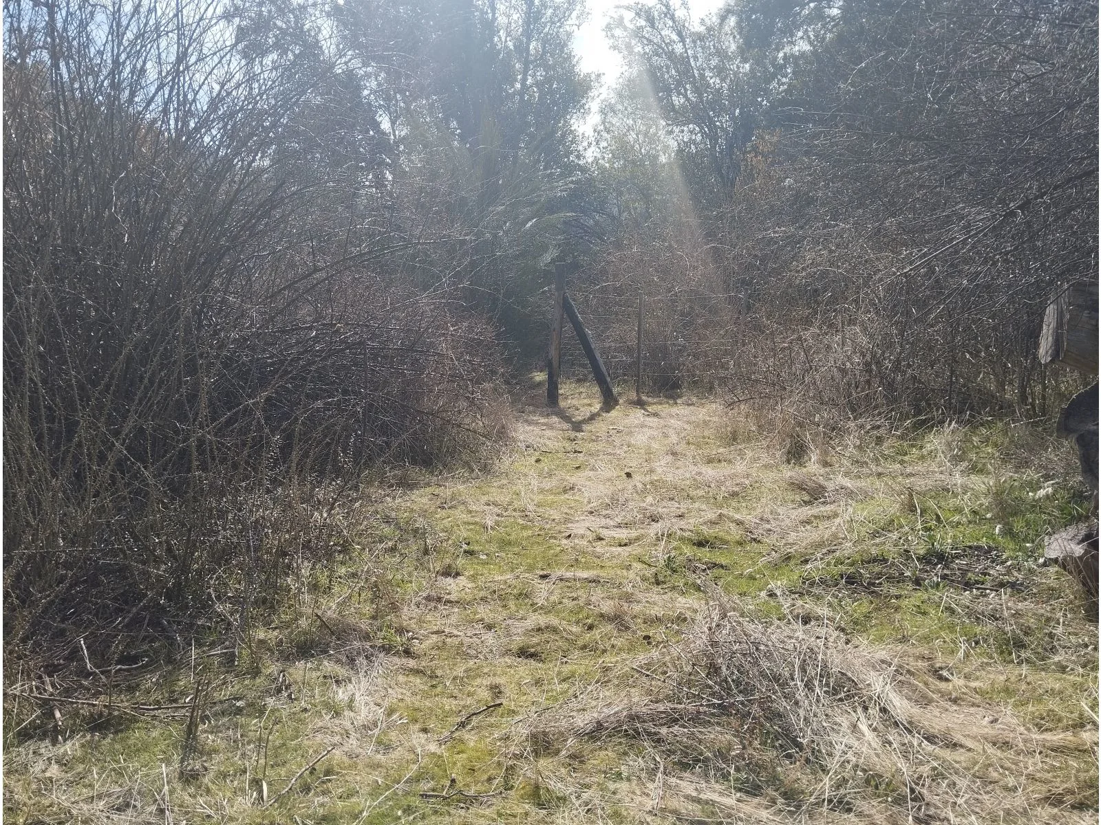 EL BOLSON, Terreno de 1/2 Ha frente a camino con costa de Rio Azul foto 3