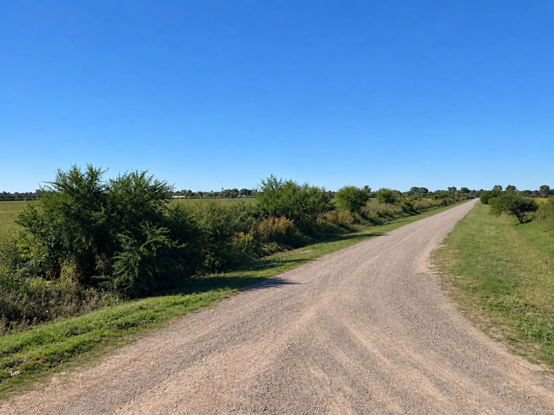 CAMPO AGRÍCOLA EN VENTA EN GABOTO foto 3