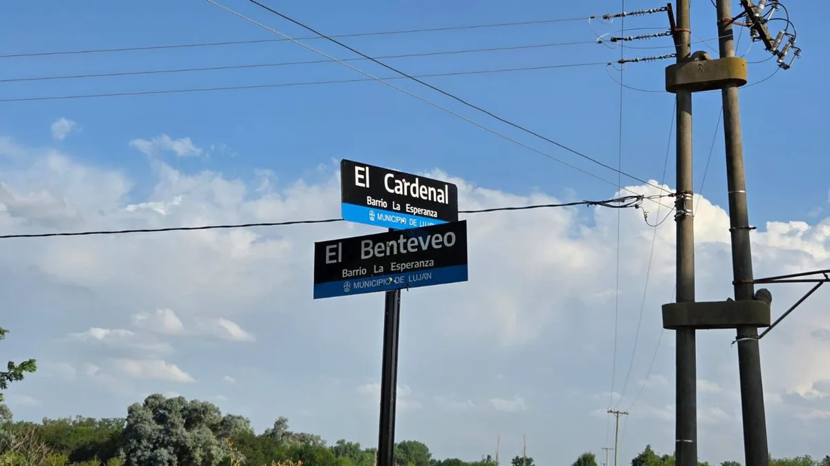Terreno 1 Hectárea, Luján San Andrés de Giles BsAs foto 4