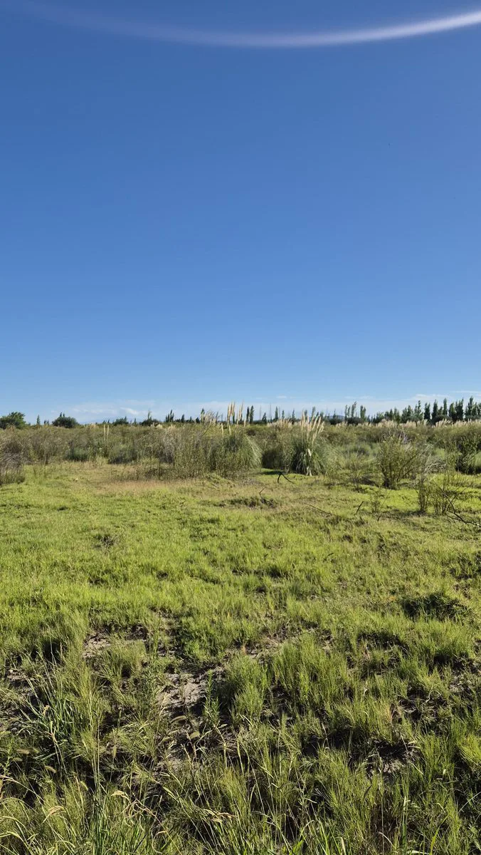 VENTA CAMPO AGRICOLA - CAÑADA SECA -SAN RAFAEL foto 3