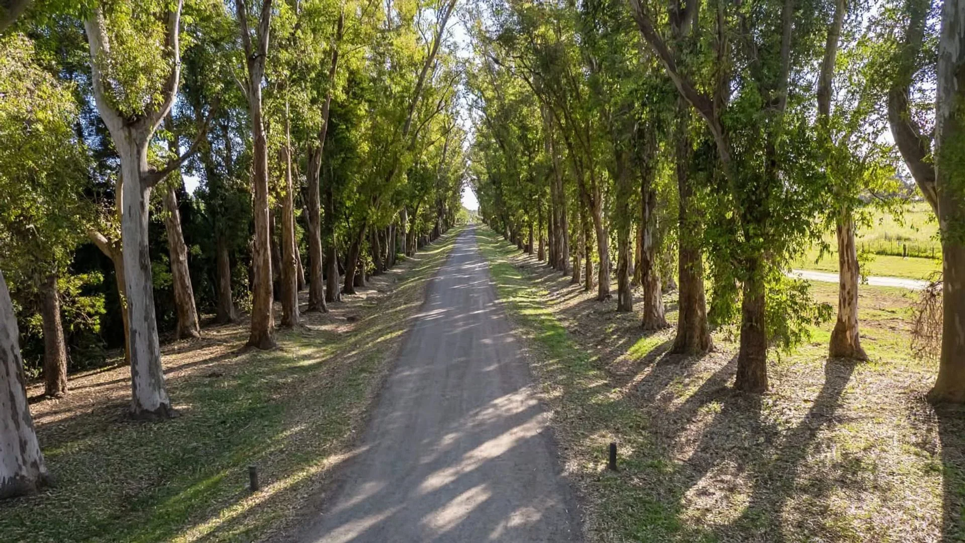 Casa en Venta 7 Ambientes - Pileta y Parque 6000m2 foto 5